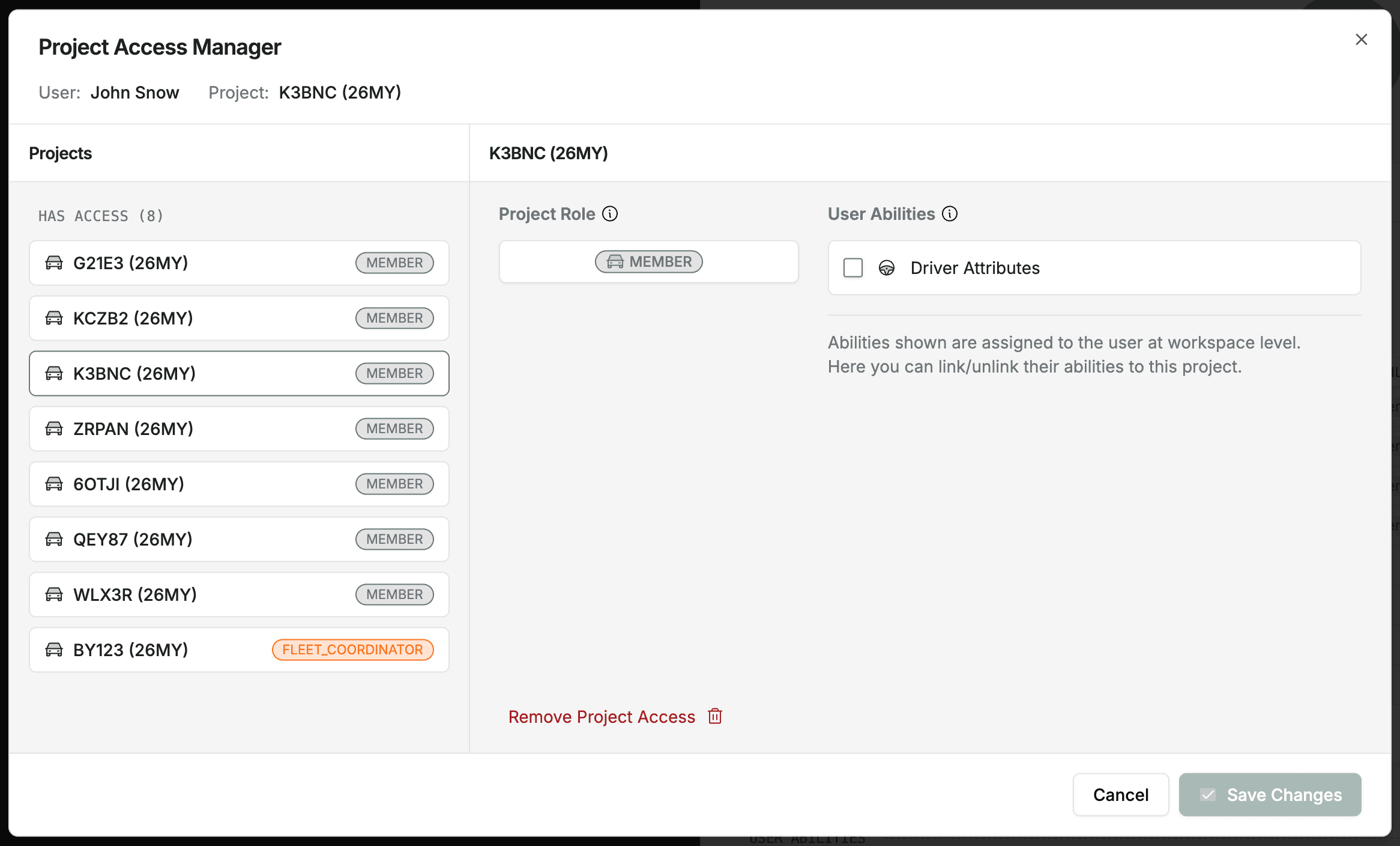 Project access manager component