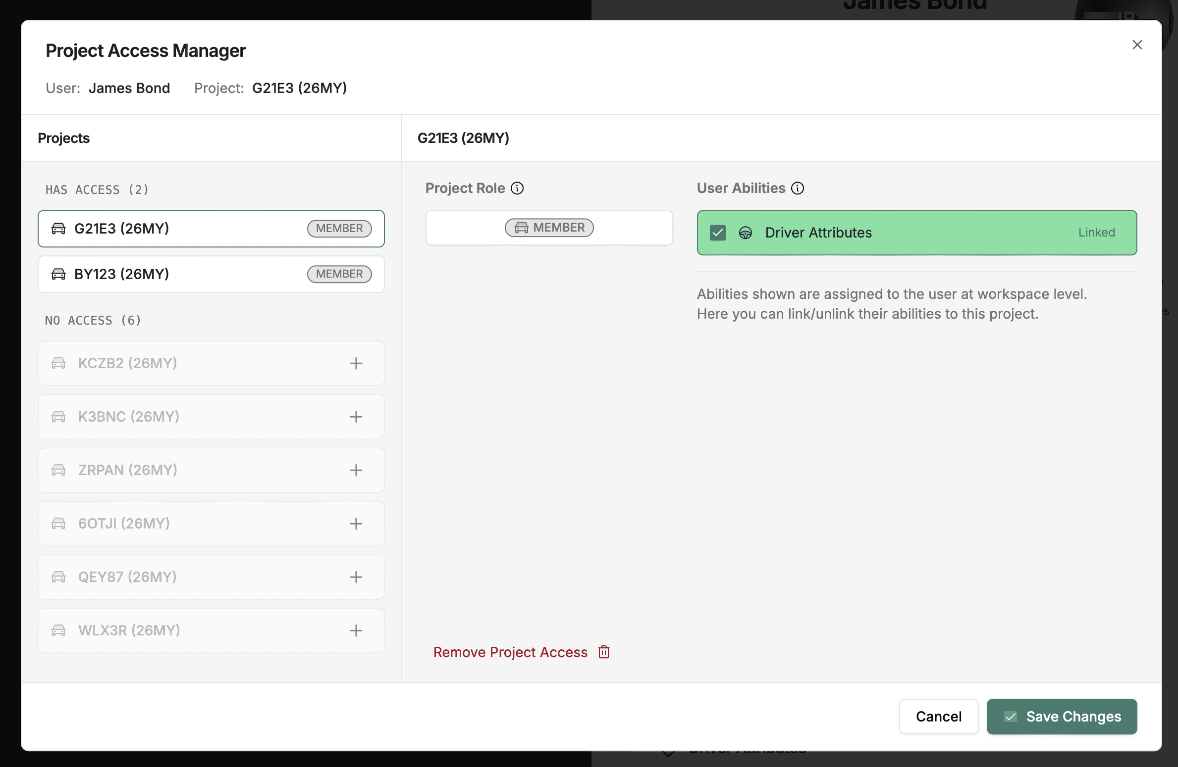 Project access manager showing ability assignment